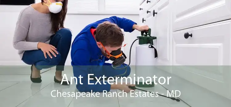 Ant Exterminator Chesapeake Ranch Estates - MD