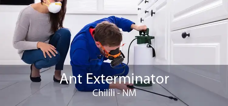 Ant Exterminator Chilili - NM