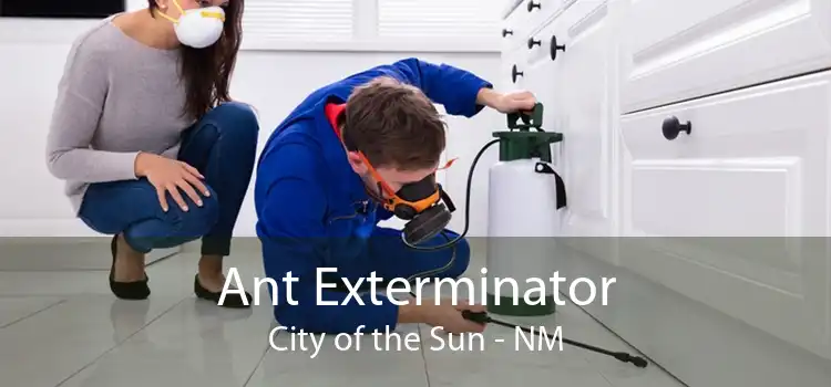 Ant Exterminator City of the Sun - NM