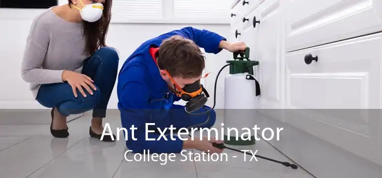 Ant Exterminator College Station - TX