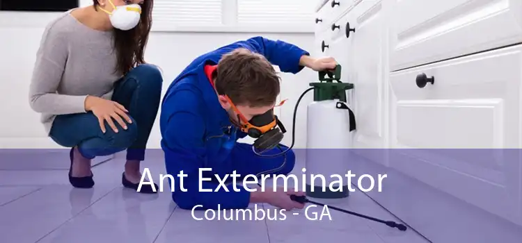 Ant Exterminator Columbus - GA