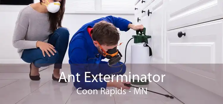 Ant Exterminator Coon Rapids - MN