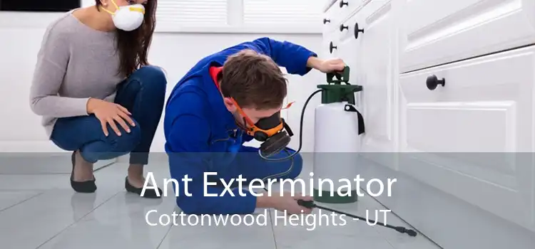 Ant Exterminator Cottonwood Heights - UT