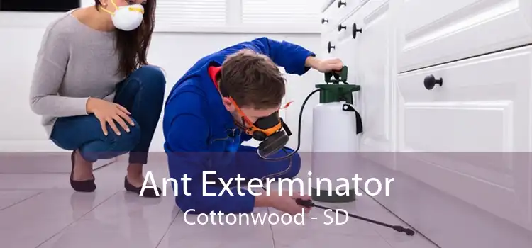 Ant Exterminator Cottonwood - SD