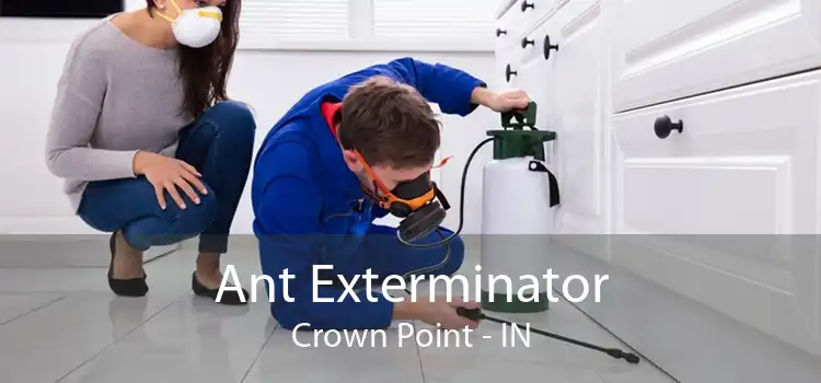 Ant Exterminator Crown Point - IN