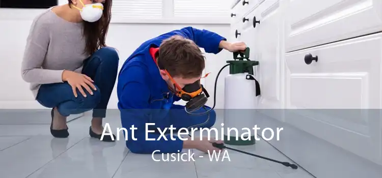 Ant Exterminator Cusick - WA