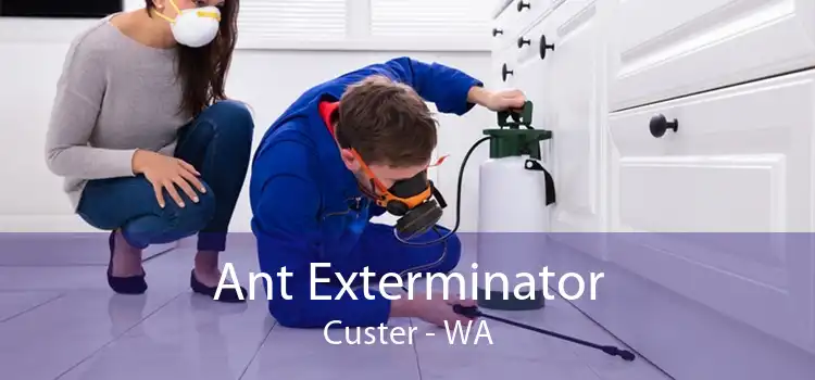 Ant Exterminator Custer - WA