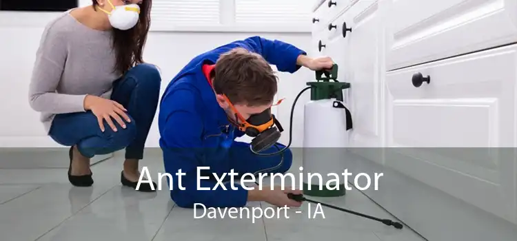 Ant Exterminator Davenport - IA