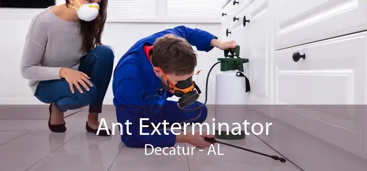 Ant Exterminator Decatur - AL