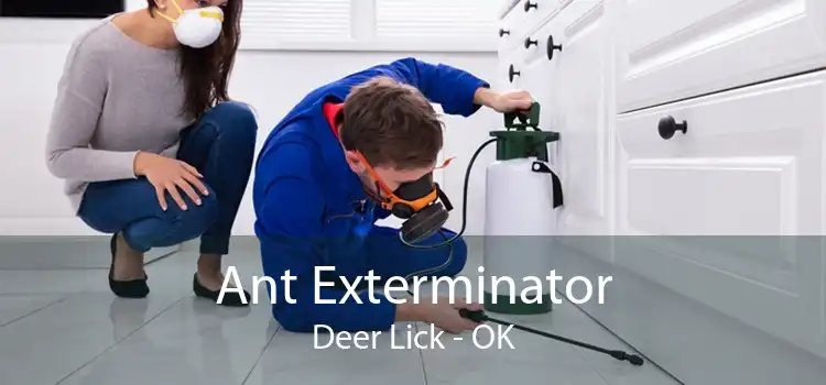 Ant Exterminator Deer Lick - OK