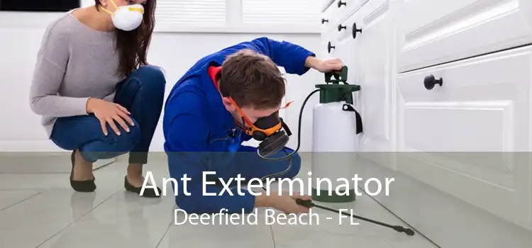 Ant Exterminator Deerfield Beach - FL