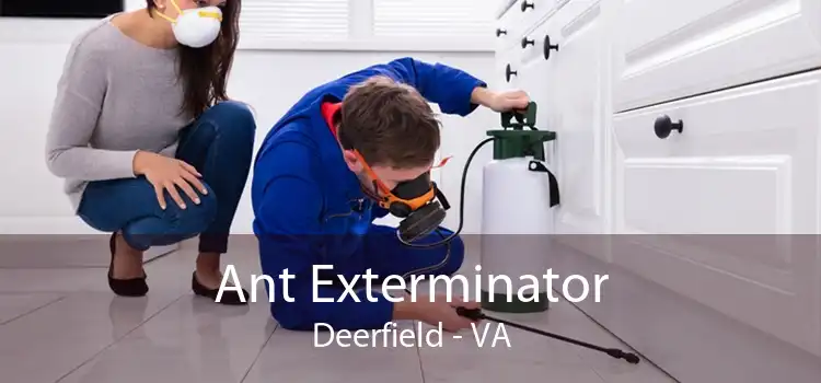 Ant Exterminator Deerfield - VA