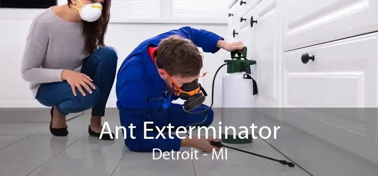 Ant Exterminator Detroit - MI