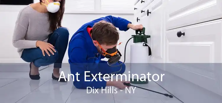 Ant Exterminator Dix Hills - NY