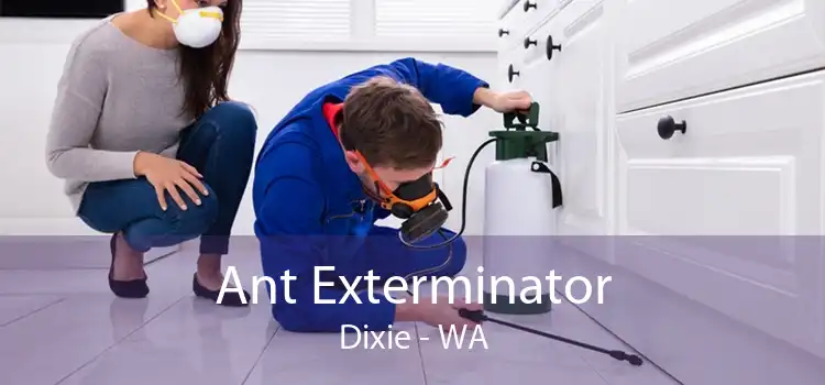 Ant Exterminator Dixie - WA