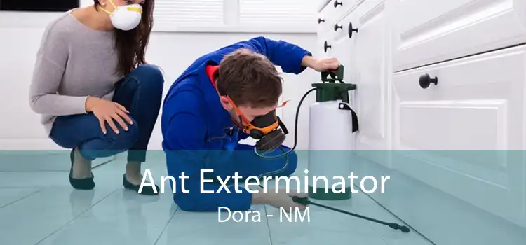 Ant Exterminator Dora - NM