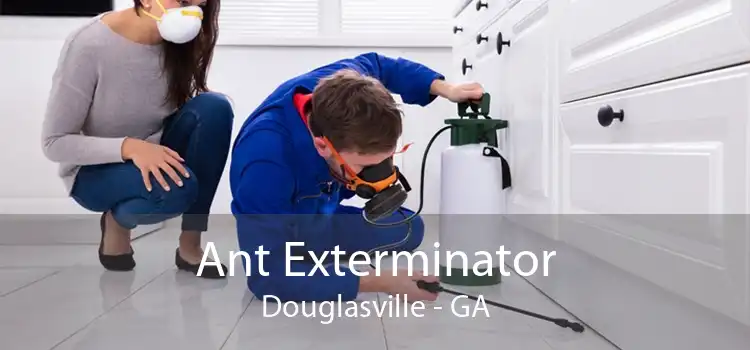 Ant Exterminator Douglasville - GA