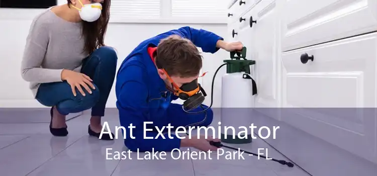 Ant Exterminator East Lake Orient Park - FL