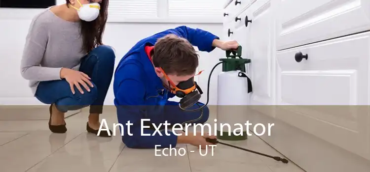 Ant Exterminator Echo - UT