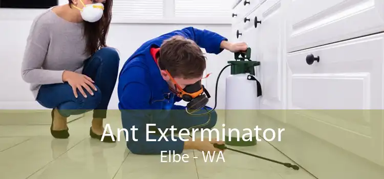 Ant Exterminator Elbe - WA