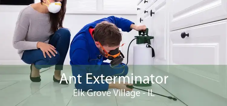 Ant Exterminator Elk Grove Village - IL