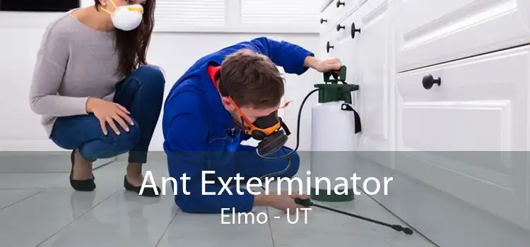 Ant Exterminator Elmo - UT