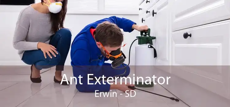 Ant Exterminator Erwin - SD