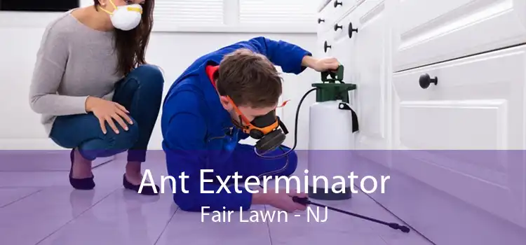 Ant Exterminator Fair Lawn - NJ