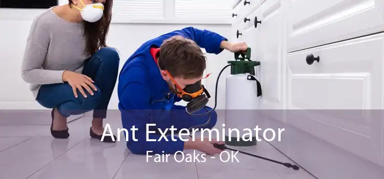 Ant Exterminator Fair Oaks - OK