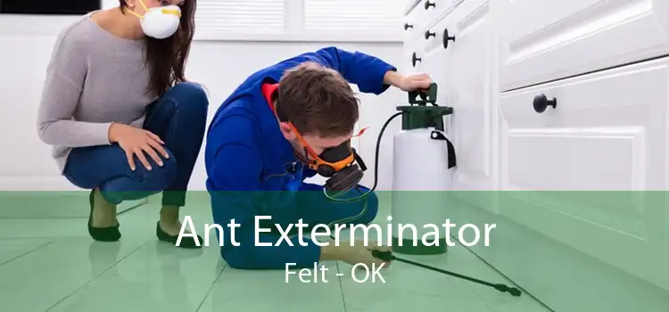 Ant Exterminator Felt - OK