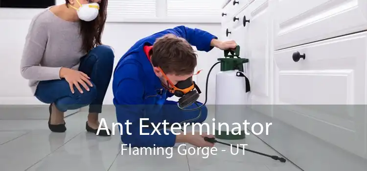 Ant Exterminator Flaming Gorge - UT