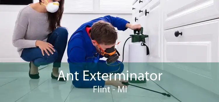 Ant Exterminator Flint - MI