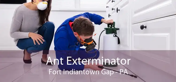 Ant Exterminator Fort Indiantown Gap - PA