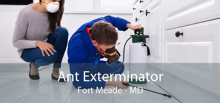 Ant Exterminator Fort Meade - MD