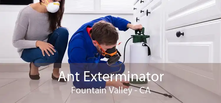 Ant Exterminator Fountain Valley - CA