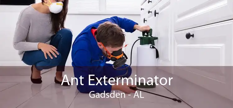 Ant Exterminator Gadsden - AL