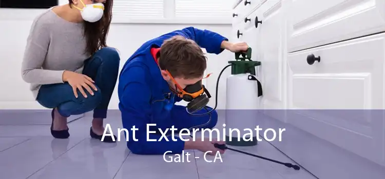 Ant Exterminator Galt - CA