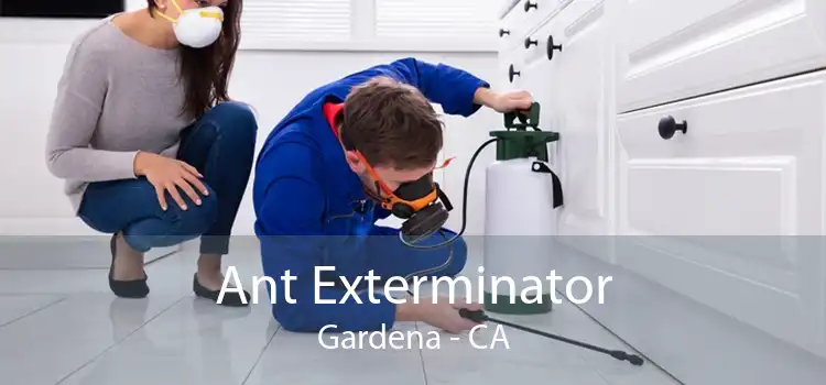 Ant Exterminator Gardena - CA