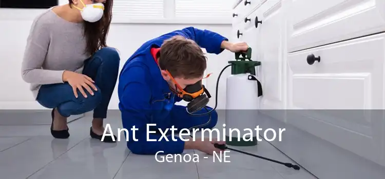 Ant Exterminator Genoa - NE