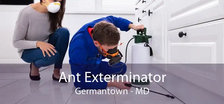 Ant Exterminator Germantown - MD