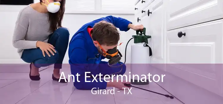 Ant Exterminator Girard - TX