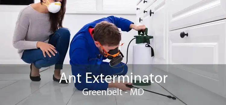 Ant Exterminator Greenbelt - MD