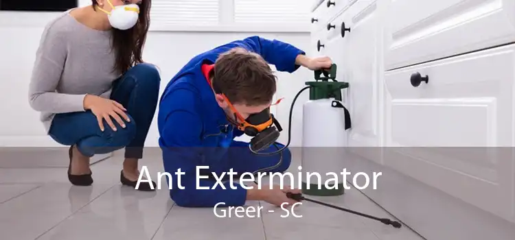 Ant Exterminator Greer - SC