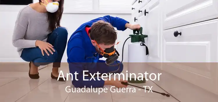 Ant Exterminator Guadalupe Guerra - TX