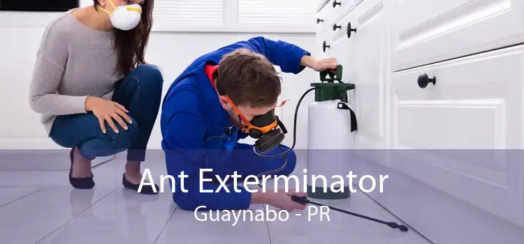 Ant Exterminator Guaynabo - PR