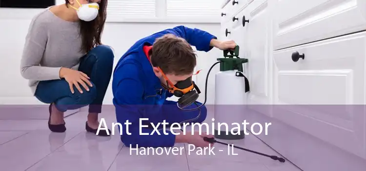 Ant Exterminator Hanover Park - IL