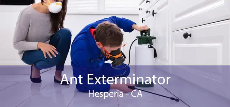 Ant Exterminator Hesperia - CA