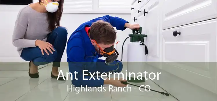 Ant Exterminator Highlands Ranch - CO