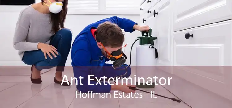 Ant Exterminator Hoffman Estates - IL