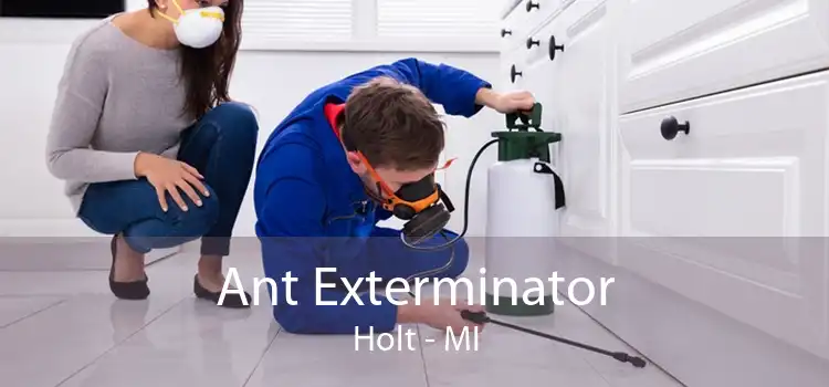 Ant Exterminator Holt - MI